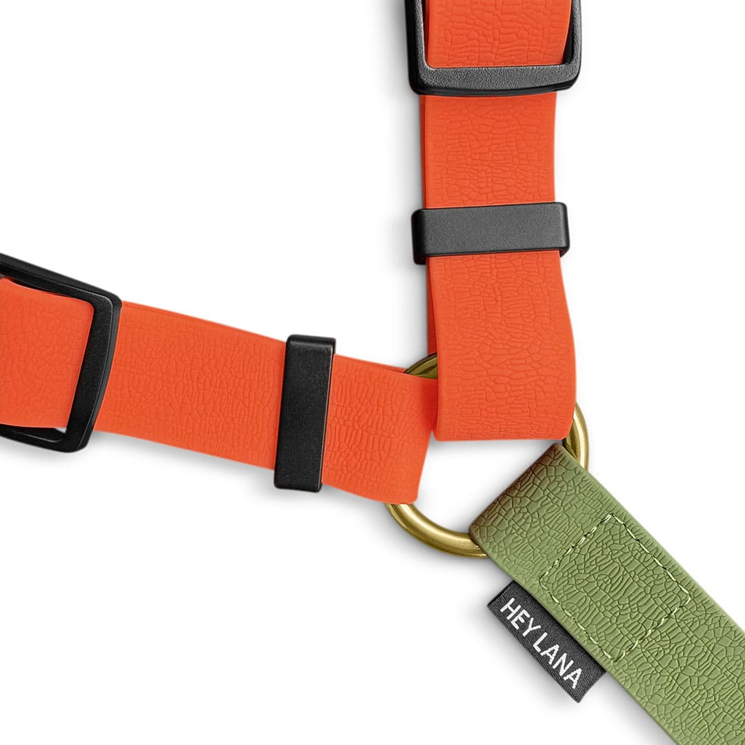 Hundegeschirr Outdoor Flex mit Haltegriff Orange/Grün