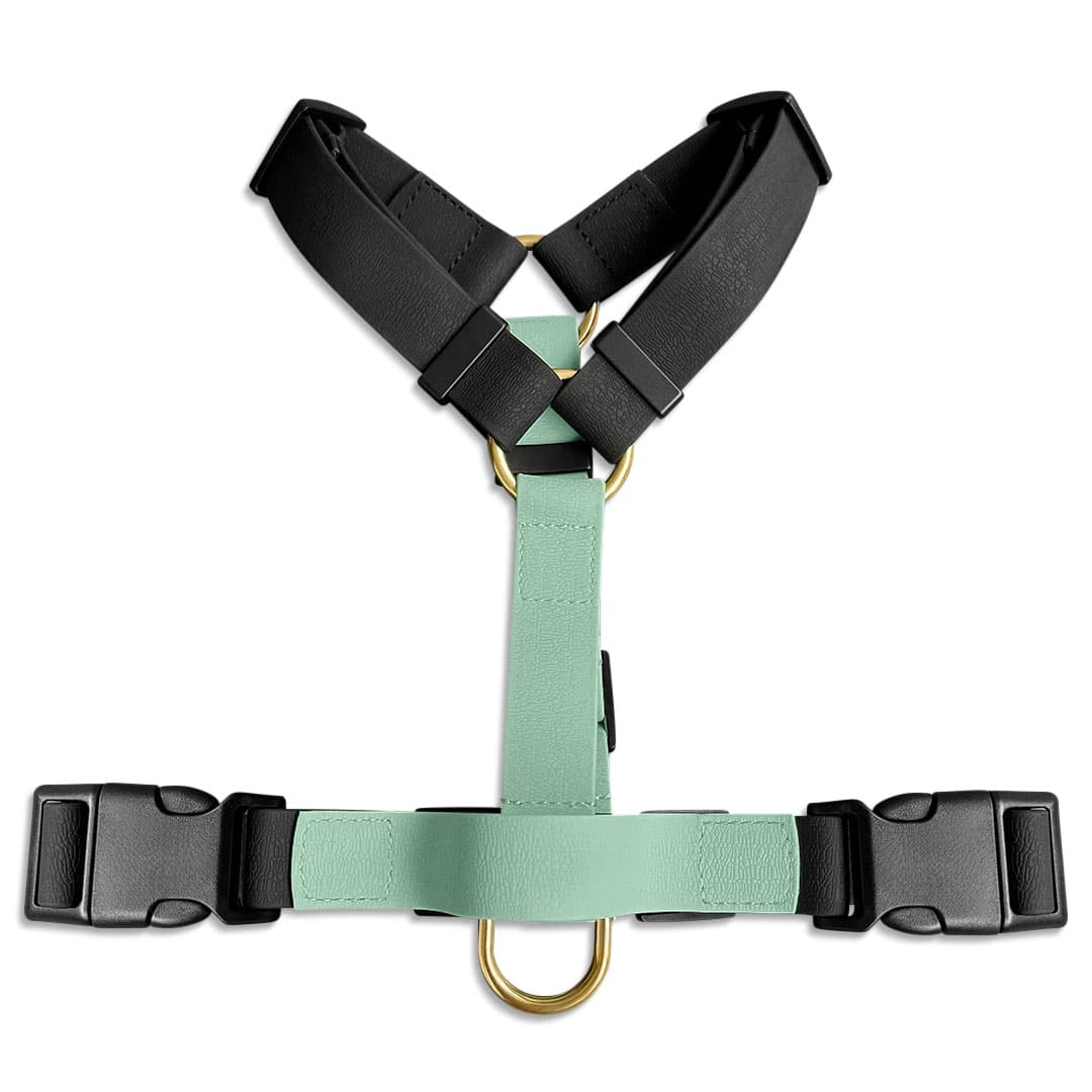 Hundegeschirr Outdoor Flex mit Haltegriff Schwarz/Mint
