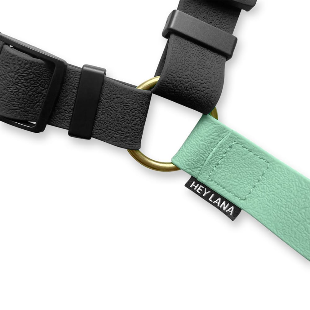 Hundegeschirr Outdoor Flex mit Haltegriff Schwarz/Mint