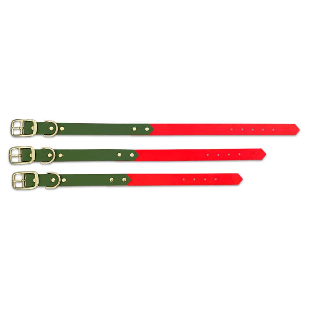 Hundehalsband Outdoor Sport Orange/Grün
