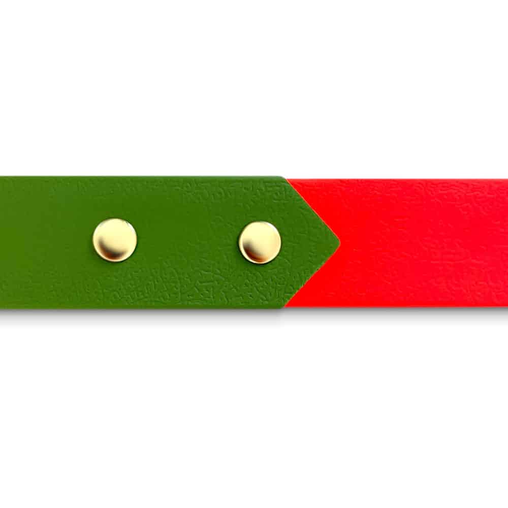 Hundehalsband Outdoor Sport Orange/Grün