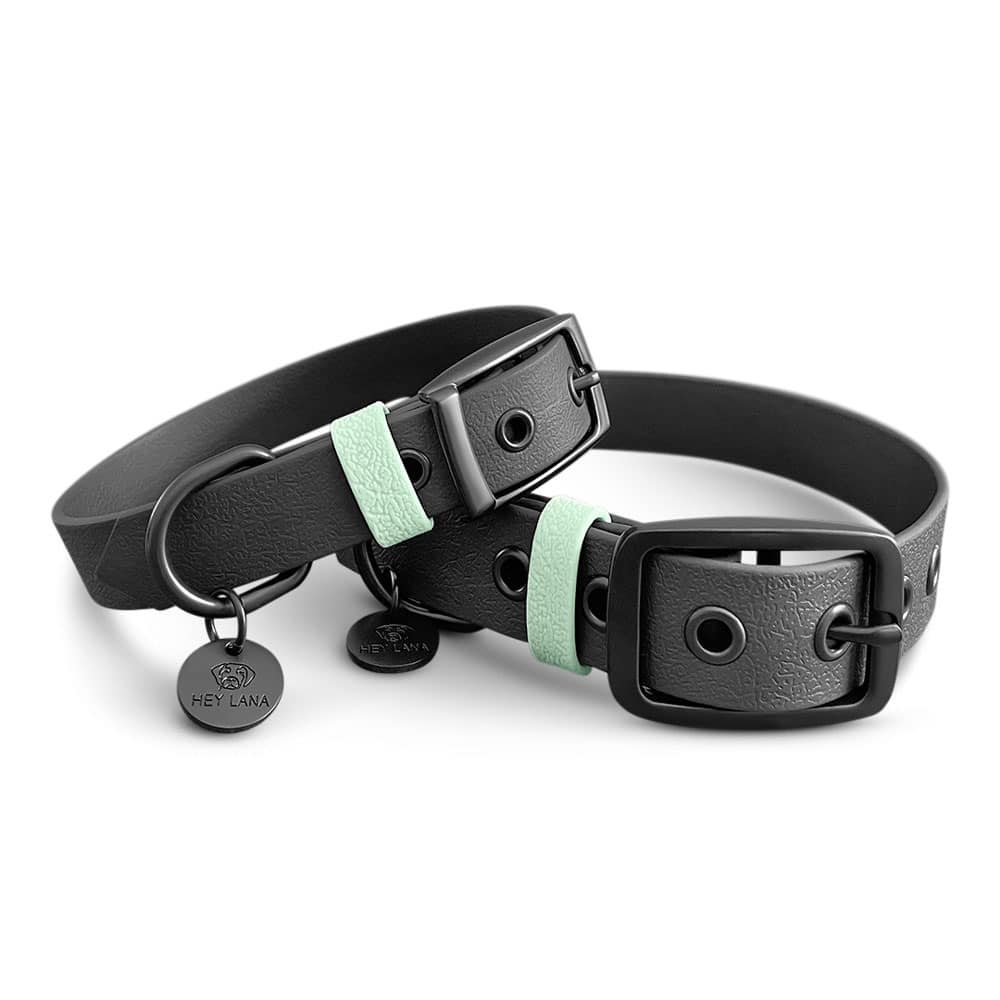 Hundehalsband Outdoor Sport Schwarz/Mint