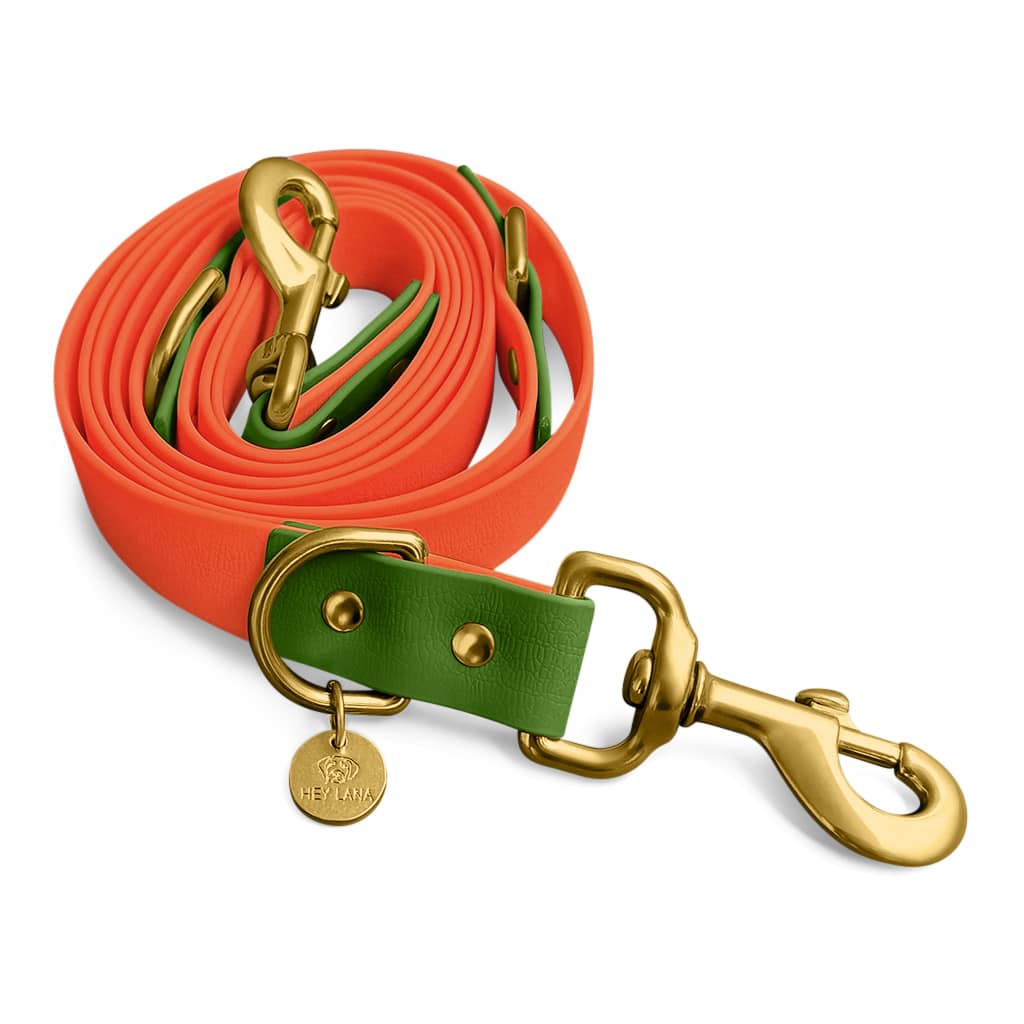 Hundeleine Outdoor Flex Orange/Grün