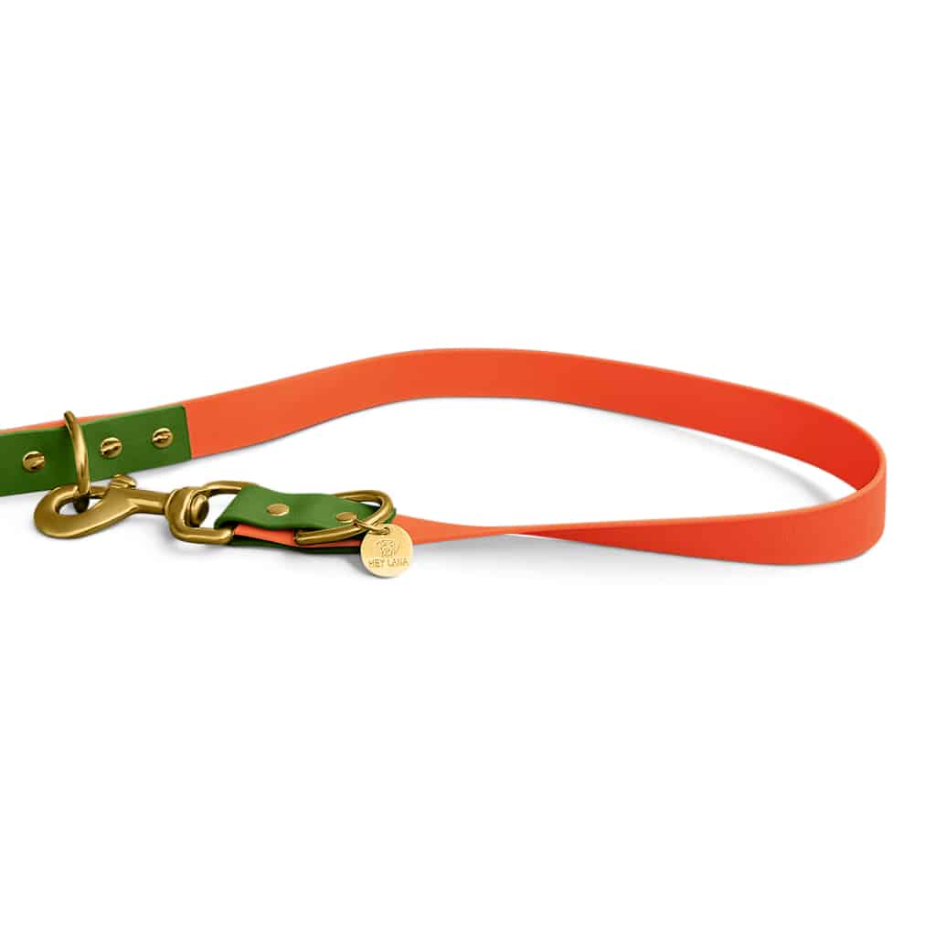 Hundeleine Outdoor Flex Orange/Grün
