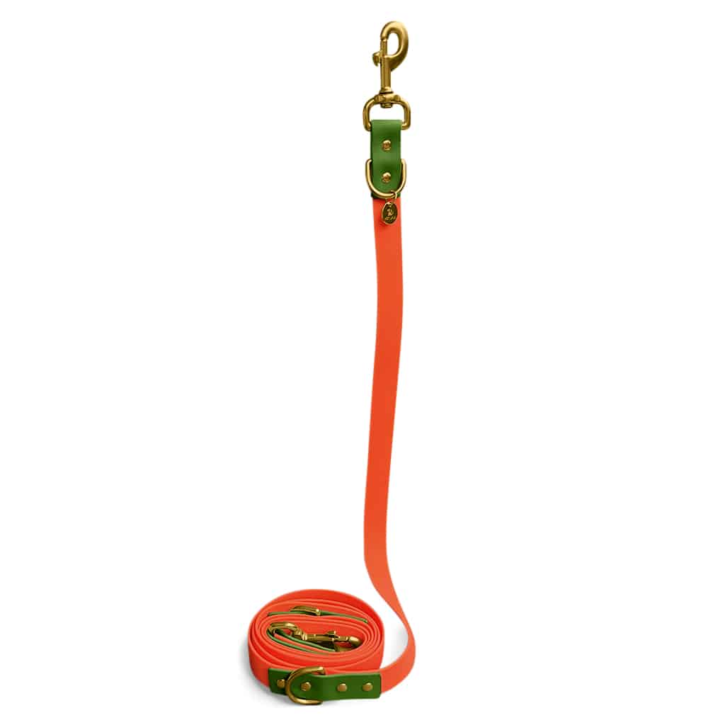 Hundeleine Outdoor Flex Orange/Grün