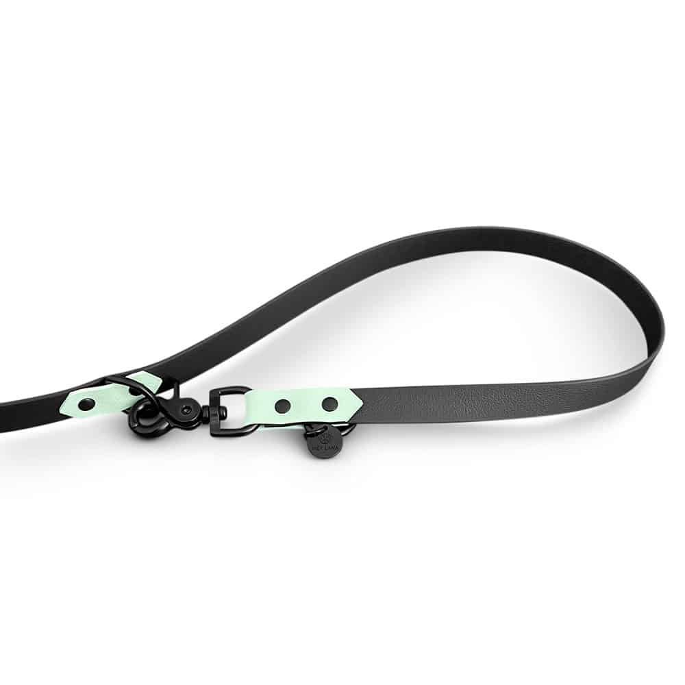 Hundeleine Outdoor Sport Schwarz/Mint