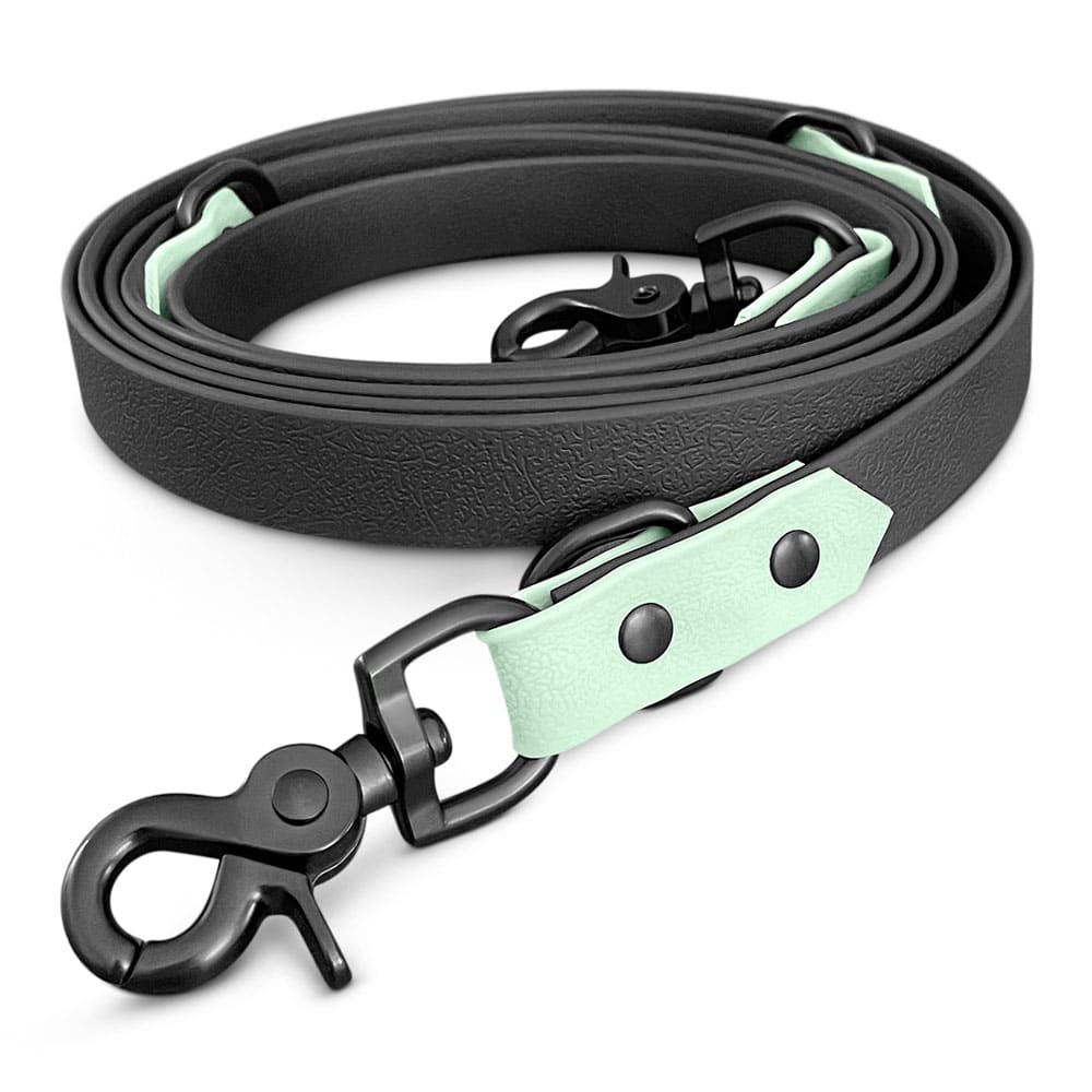 Hundeleine Outdoor Sport Schwarz/Mint