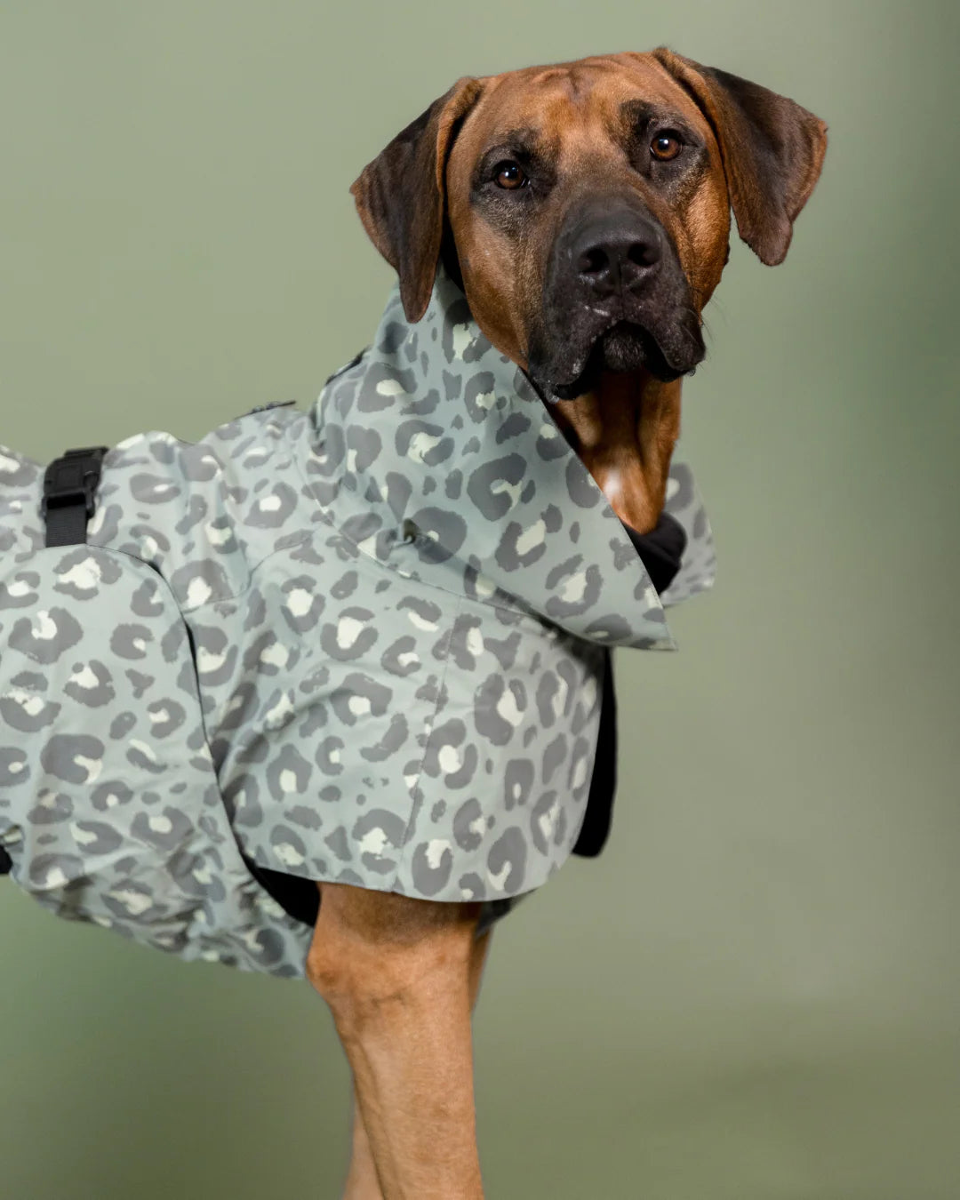 Regenmantel für Hunde Visibility Lite Grün Leo