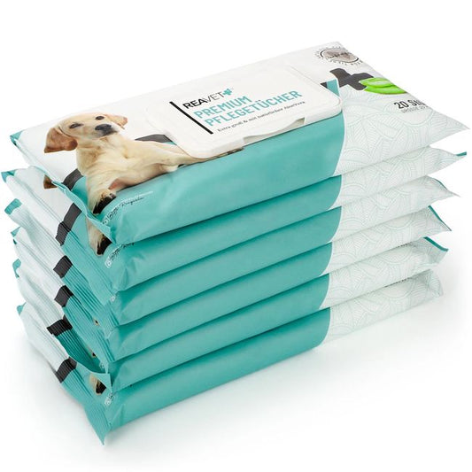 Feuchte Premium Pflegetücher 6 x 20Stk