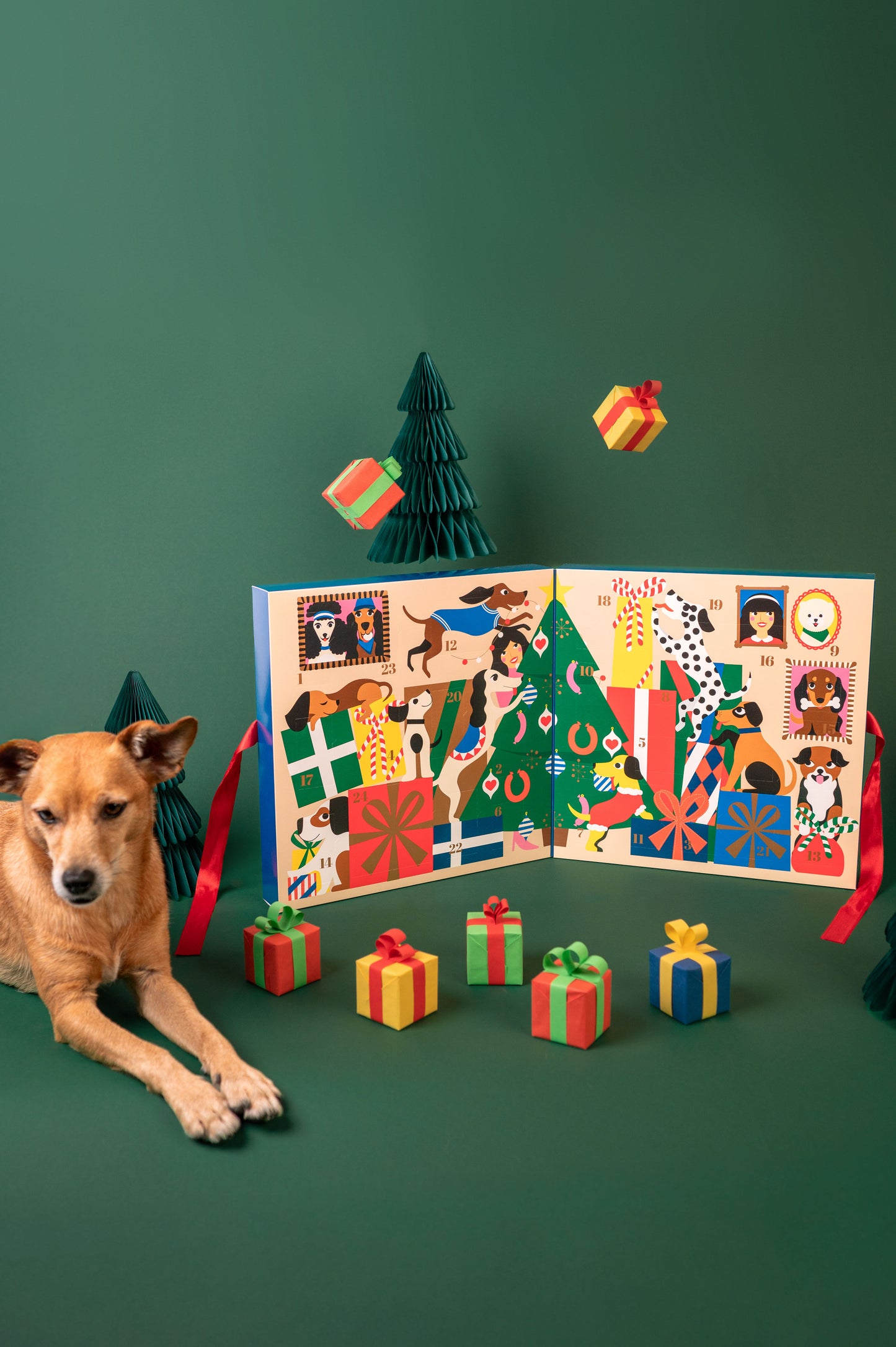 Adventskalender 2025 Limited Edition