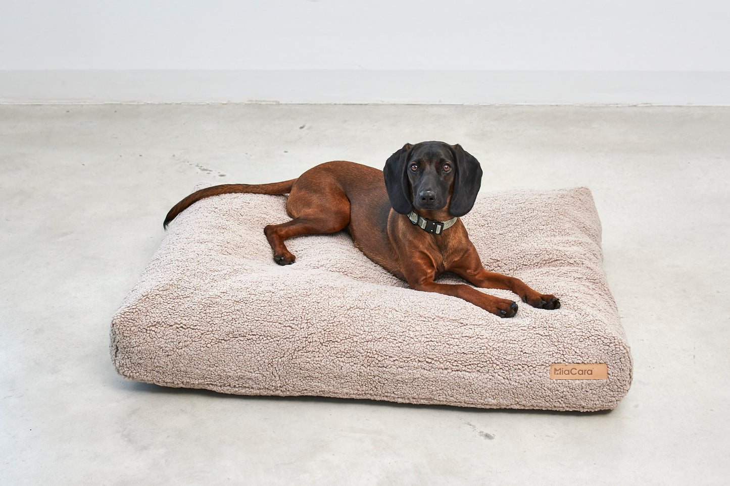 Hundekissen Senso Greige