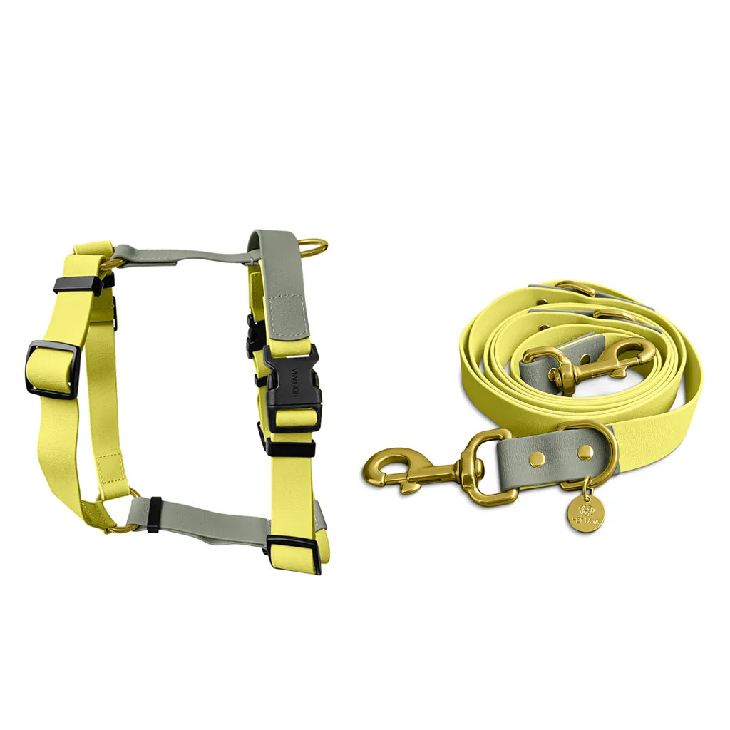 Hundegeschirr Outdoor Flex mit Haltegriff Lemon/Seagrass