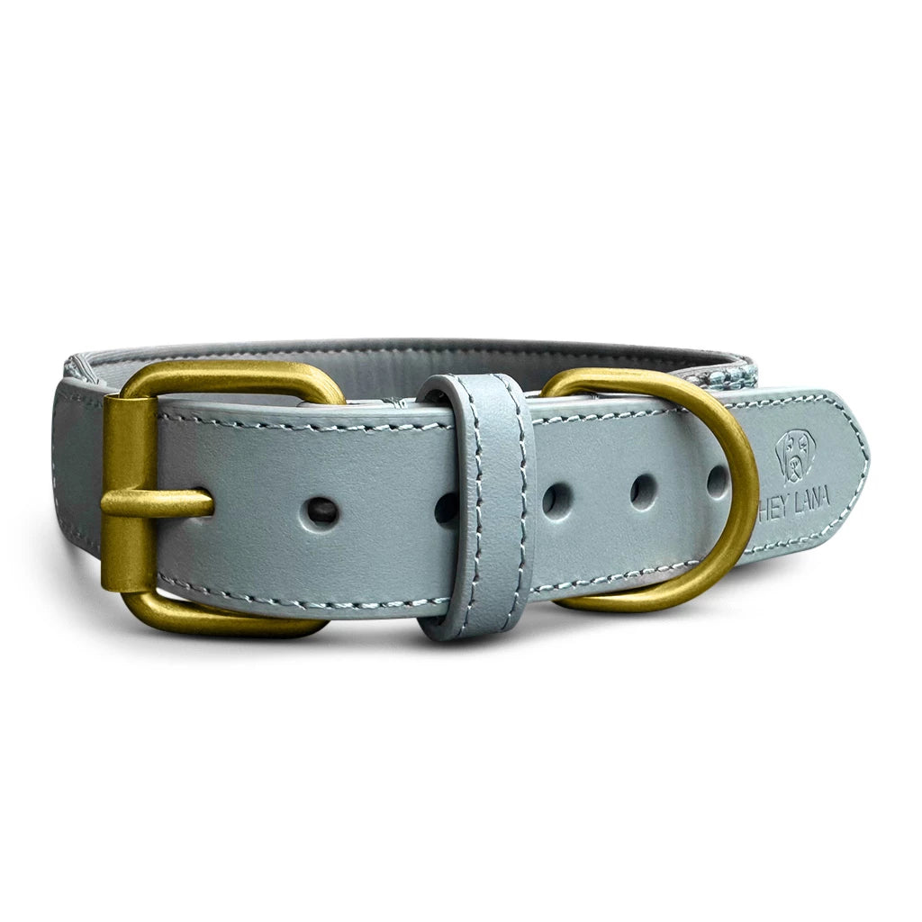 Hundehalsband Gepolstert Anthrazit/Eisblau