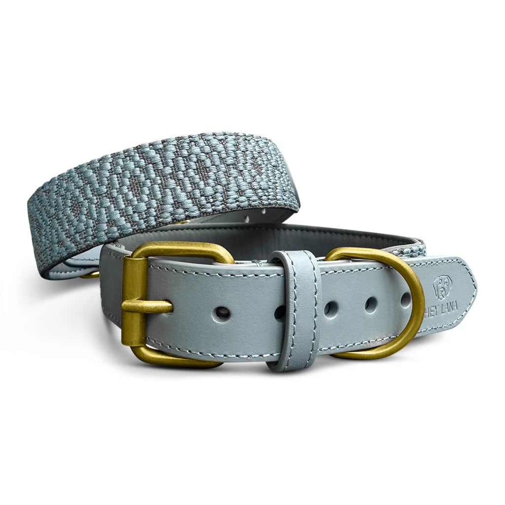 Hundehalsband Gepolstert Anthrazit/Eisblau