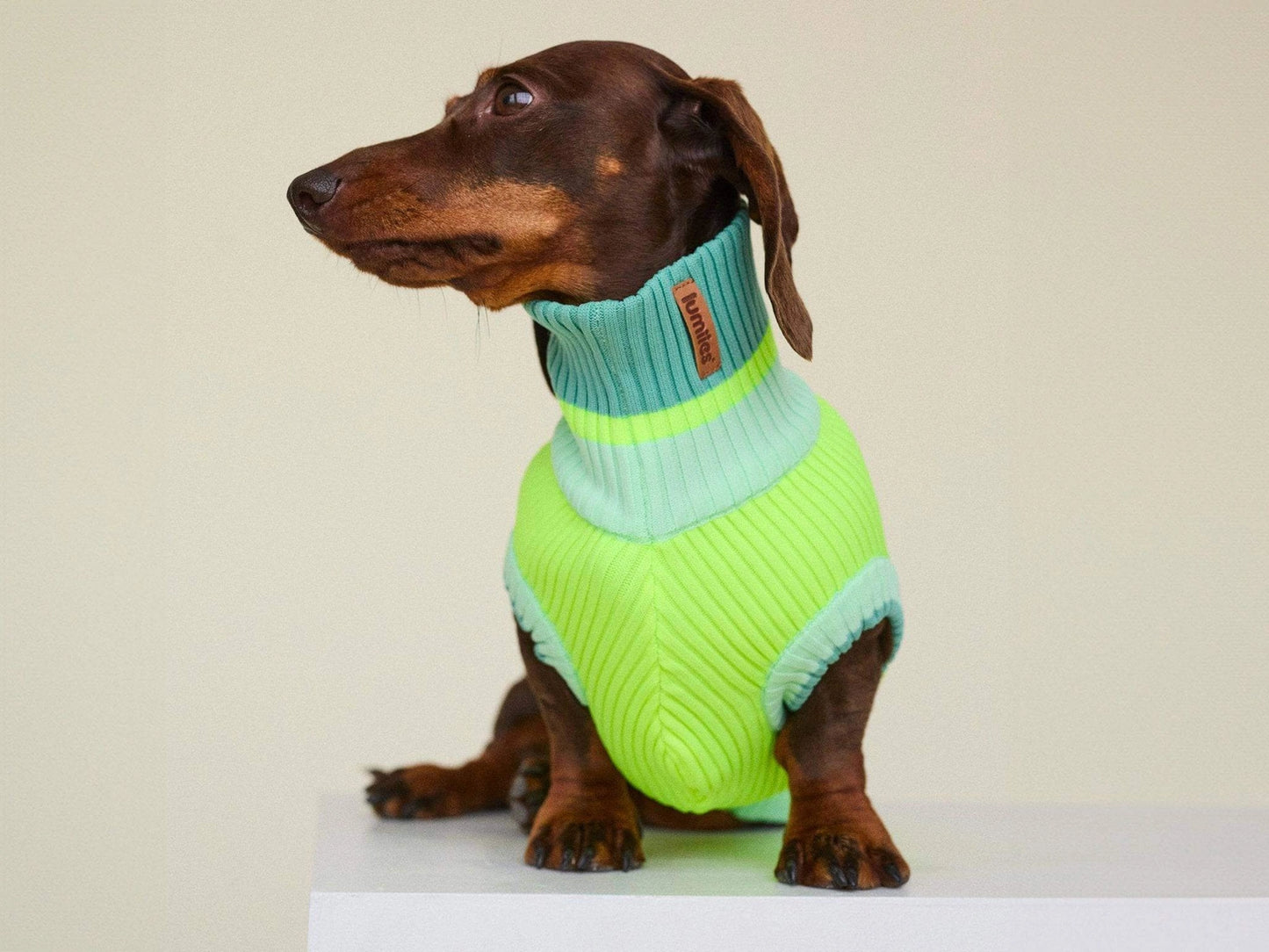 Hundepullover The Glow Jumper Neon Matcha