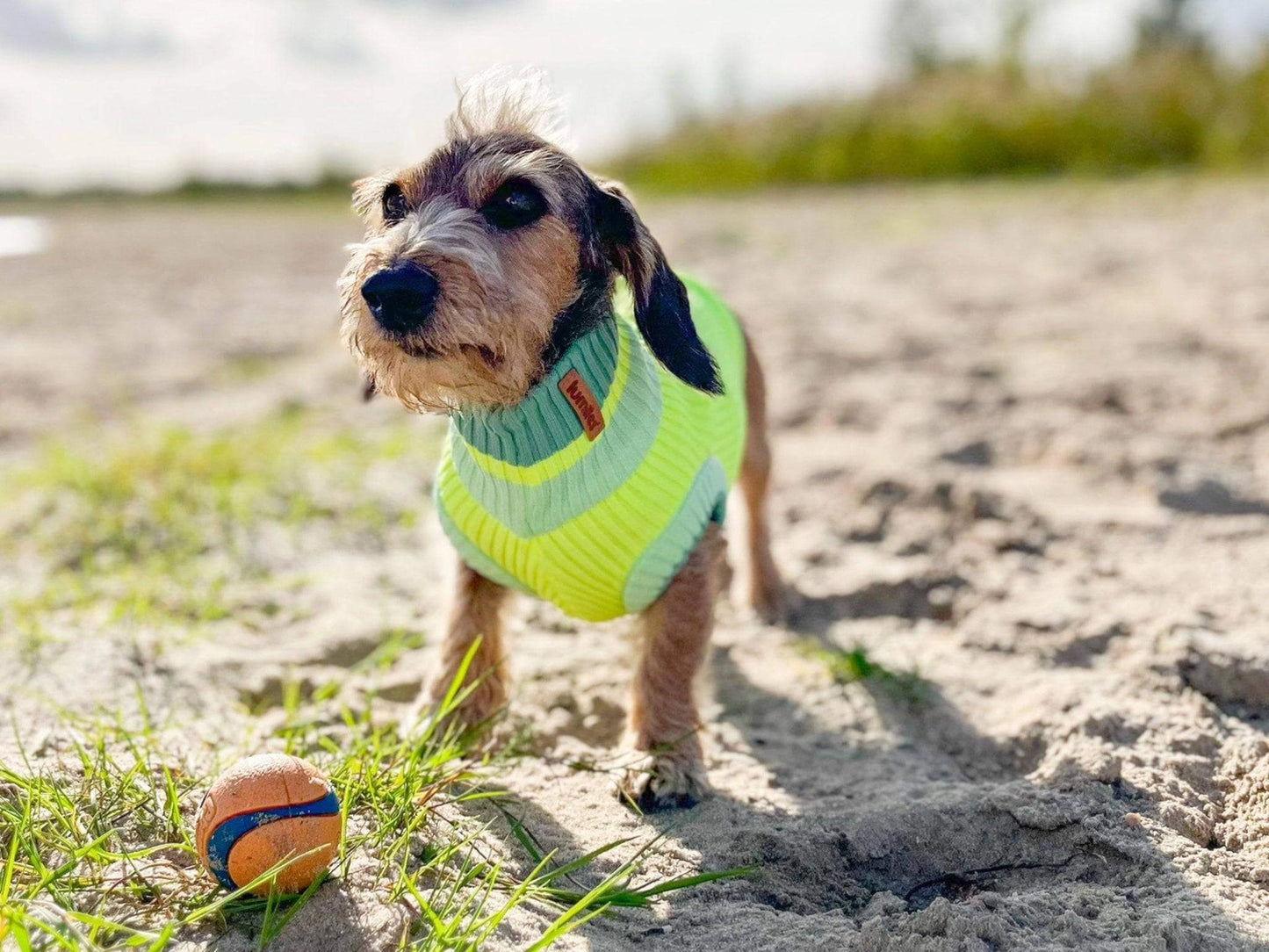 Hundepullover The Glow Jumper Neon Matcha