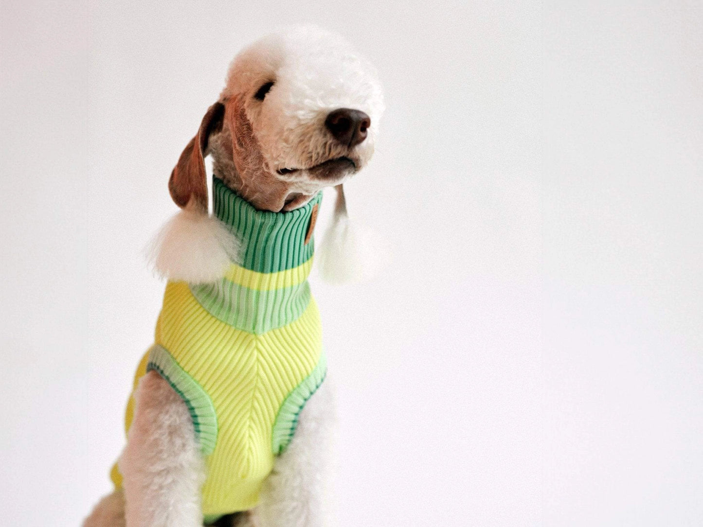Hundepullover The Glow Jumper Neon Matcha