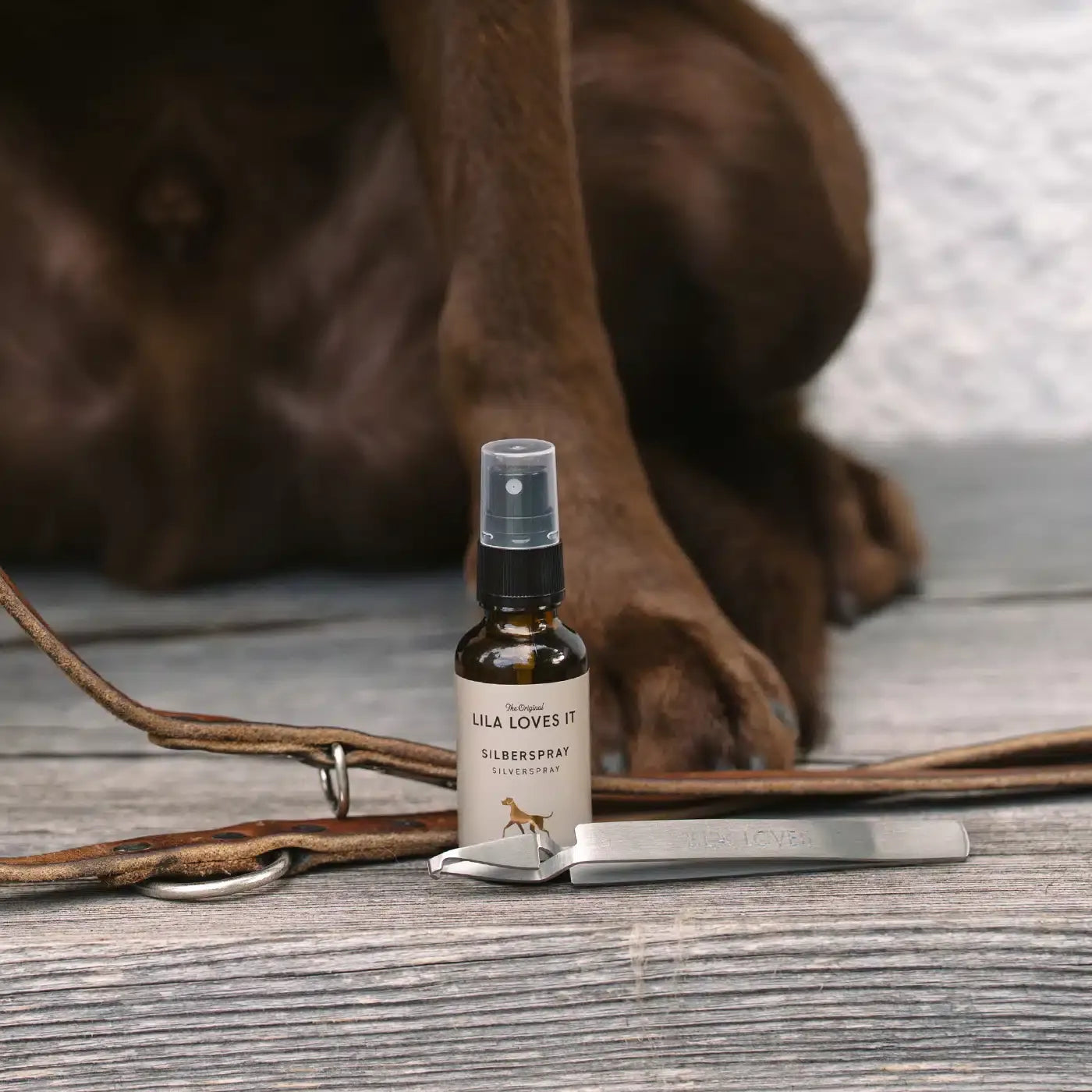 Silberspray für Hunde