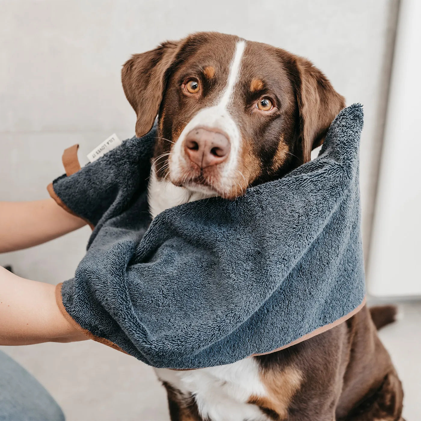 Hundehandtuch Chocolate & Tangerine