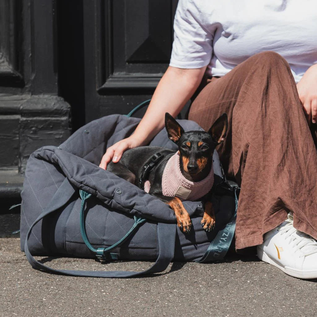 Hundetragetasche & Hundeautositz Slate Grey