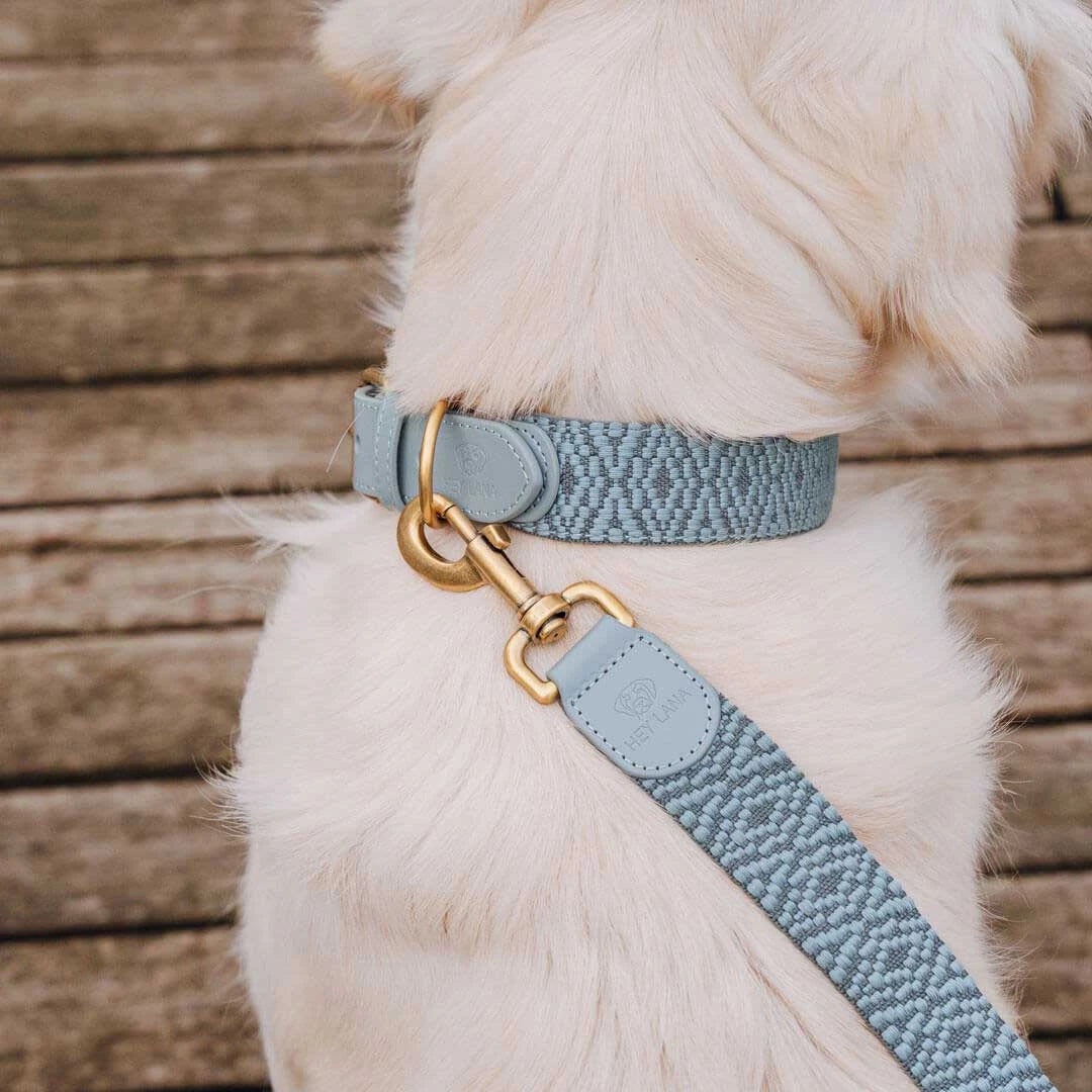 Hundehalsband Gepolstert Anthrazit/Eisblau