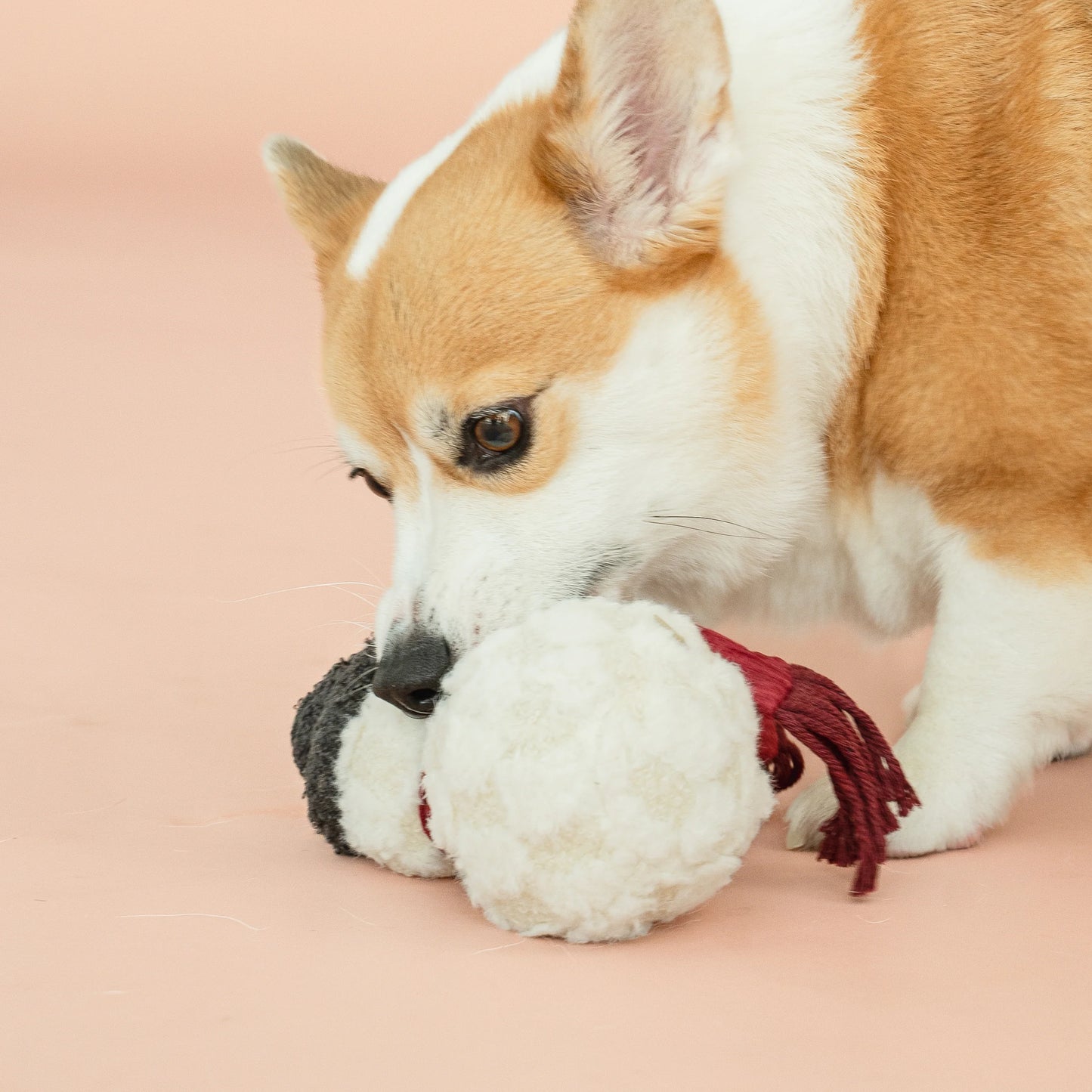 Hundespielzeug Schneemann