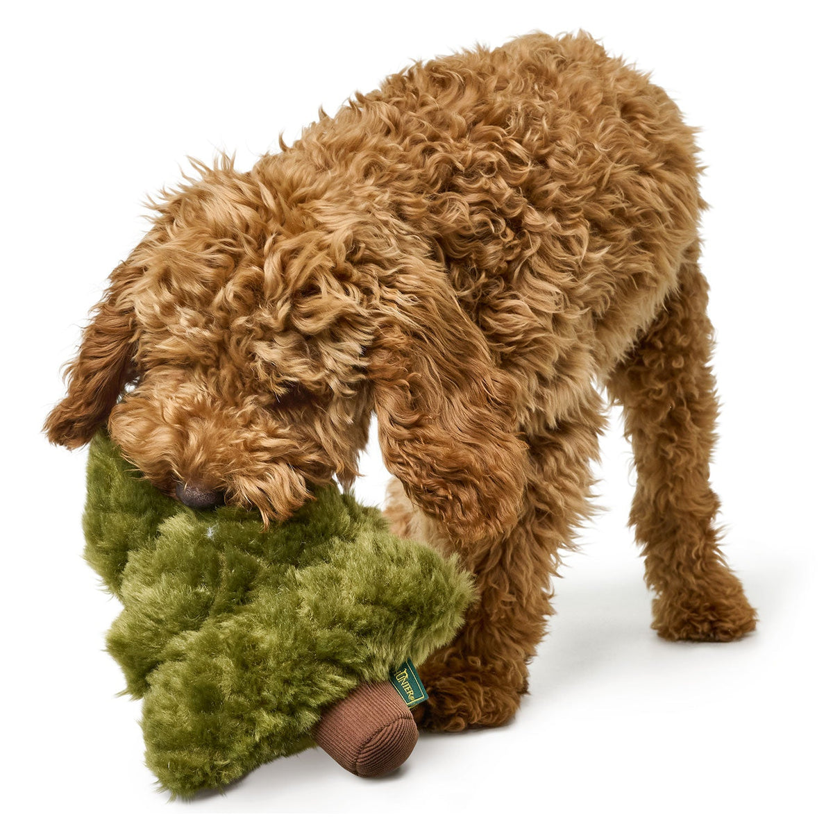 HUNTER Sitka Weihnachtsbaum – grüner Weihnachtsbaum, beim Spielen mit Hund