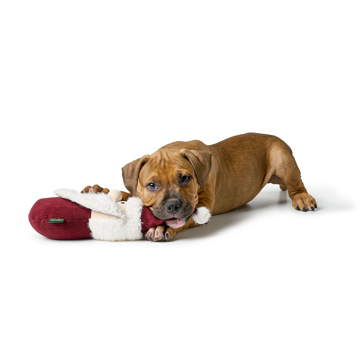 HUNTER Sitka Weihnachtsmann – roter Weihnachtsmann mit weißem Bart, beim Spielen mit Hund