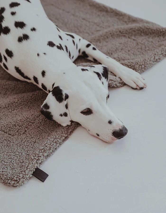 Hundedecke Hygge Bouclé Schokobraun