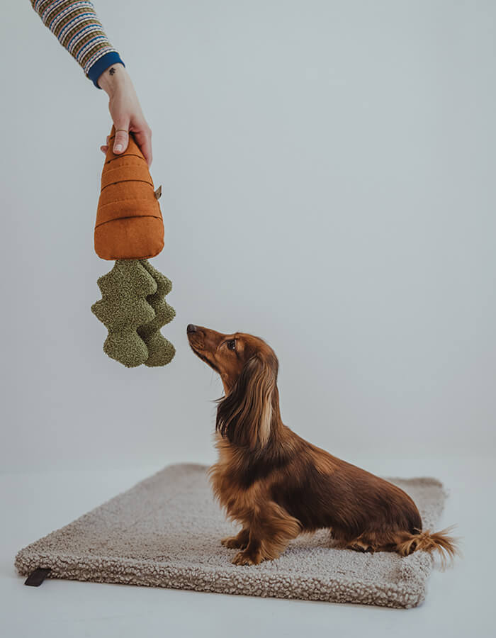 Hundedecke Hygge Bouclé Greige