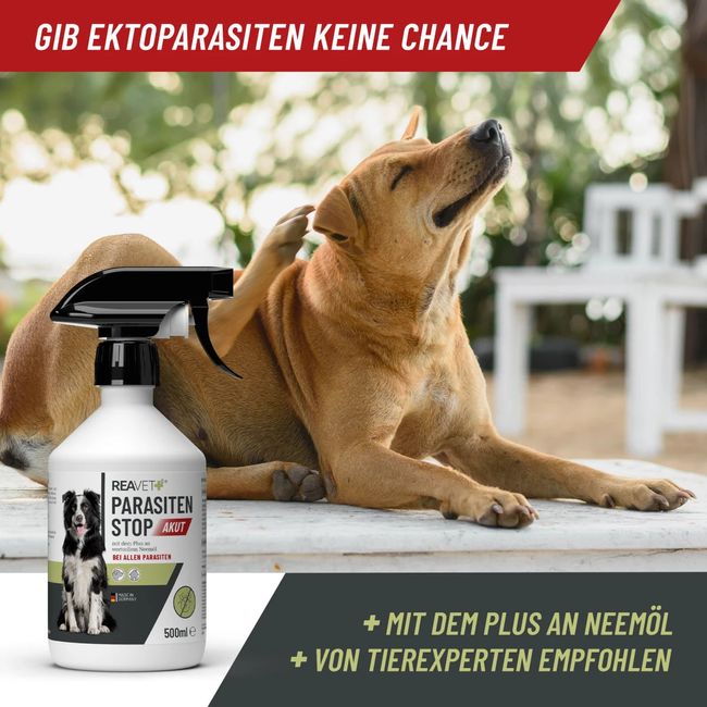 Parasiten Stop AKUT Spray