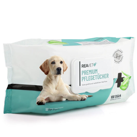 Feuchte Premium Pflegetücher 100Stk
