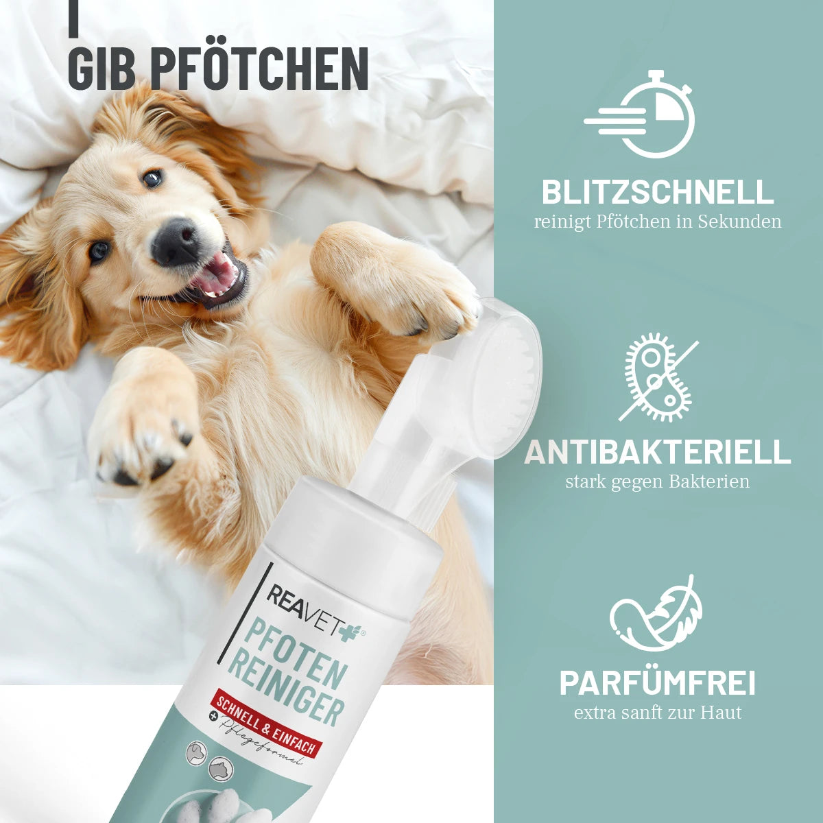 Pfotenreiniger