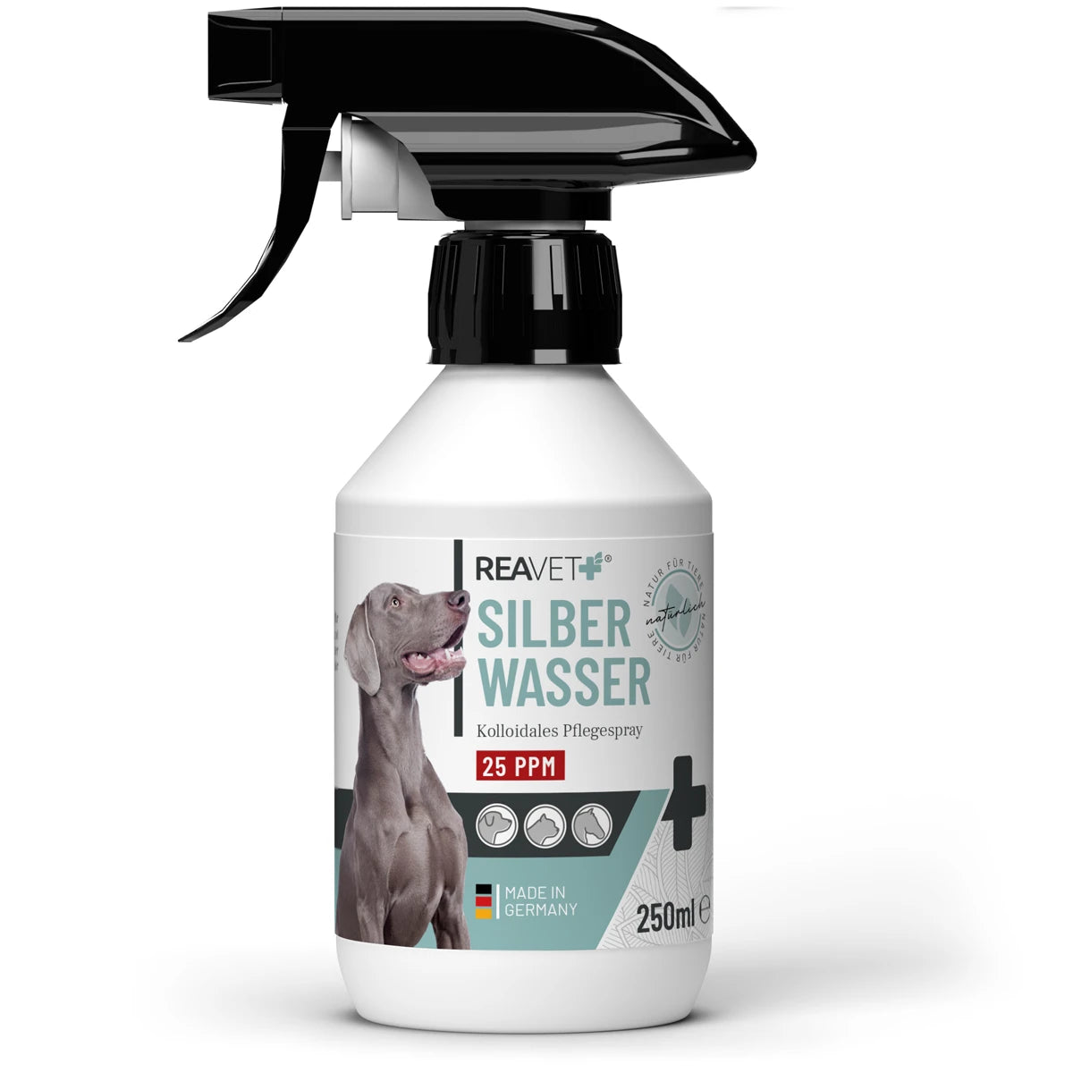 Silberwasser Spray