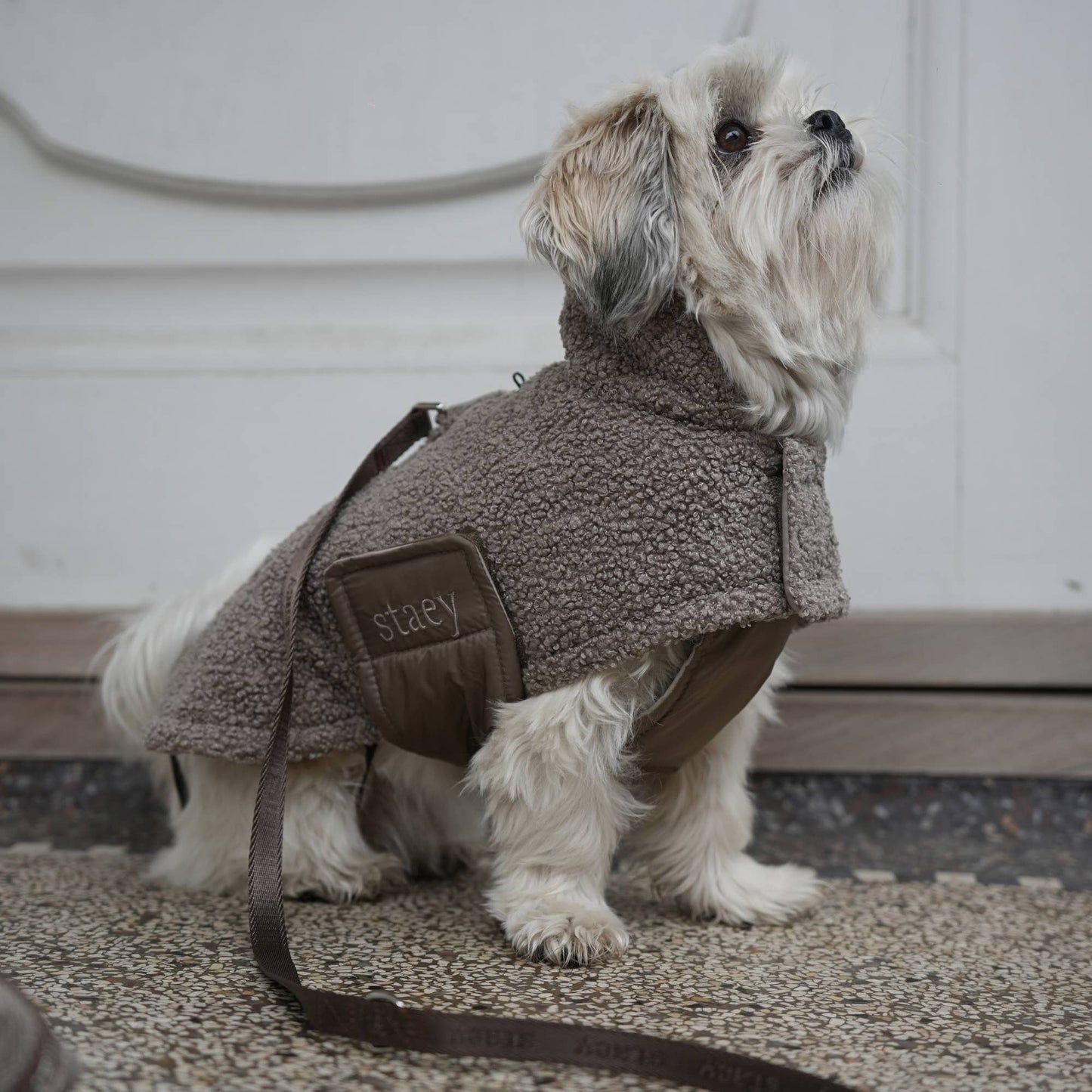 Hundemantel Teddy Taupe mit Geschirröffnung