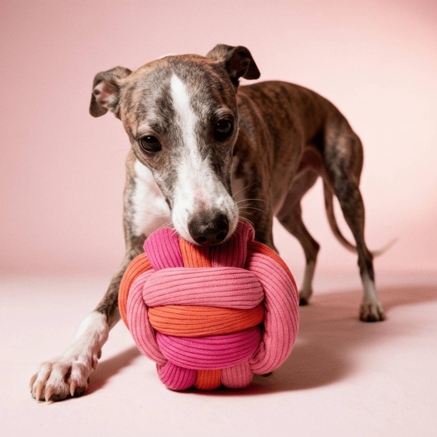 lumiies Twisty Ball Berry – Schnüffelspiel mit Hund