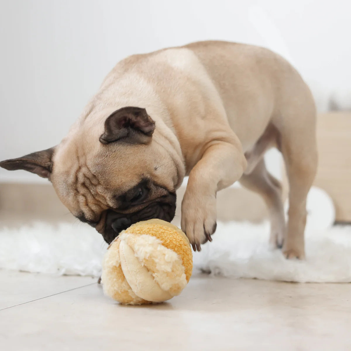 Schnüffelball Toto Small Gelb