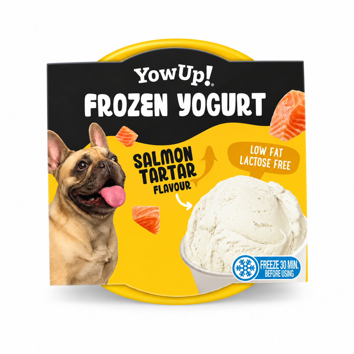 YowUp! Frozen Yoghurt Salmon Tartar – aktuelle Verpackung