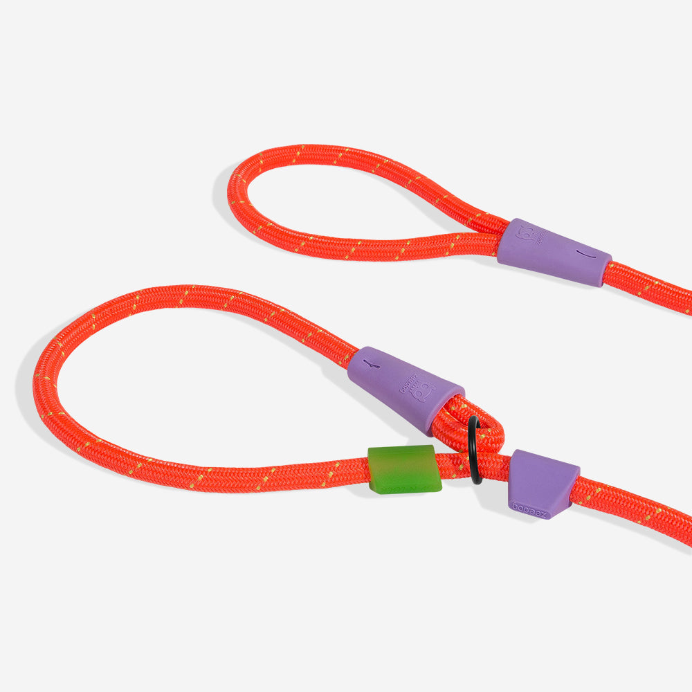 Zee.Dog Slip-N-Lock Everest – Ansicht 4