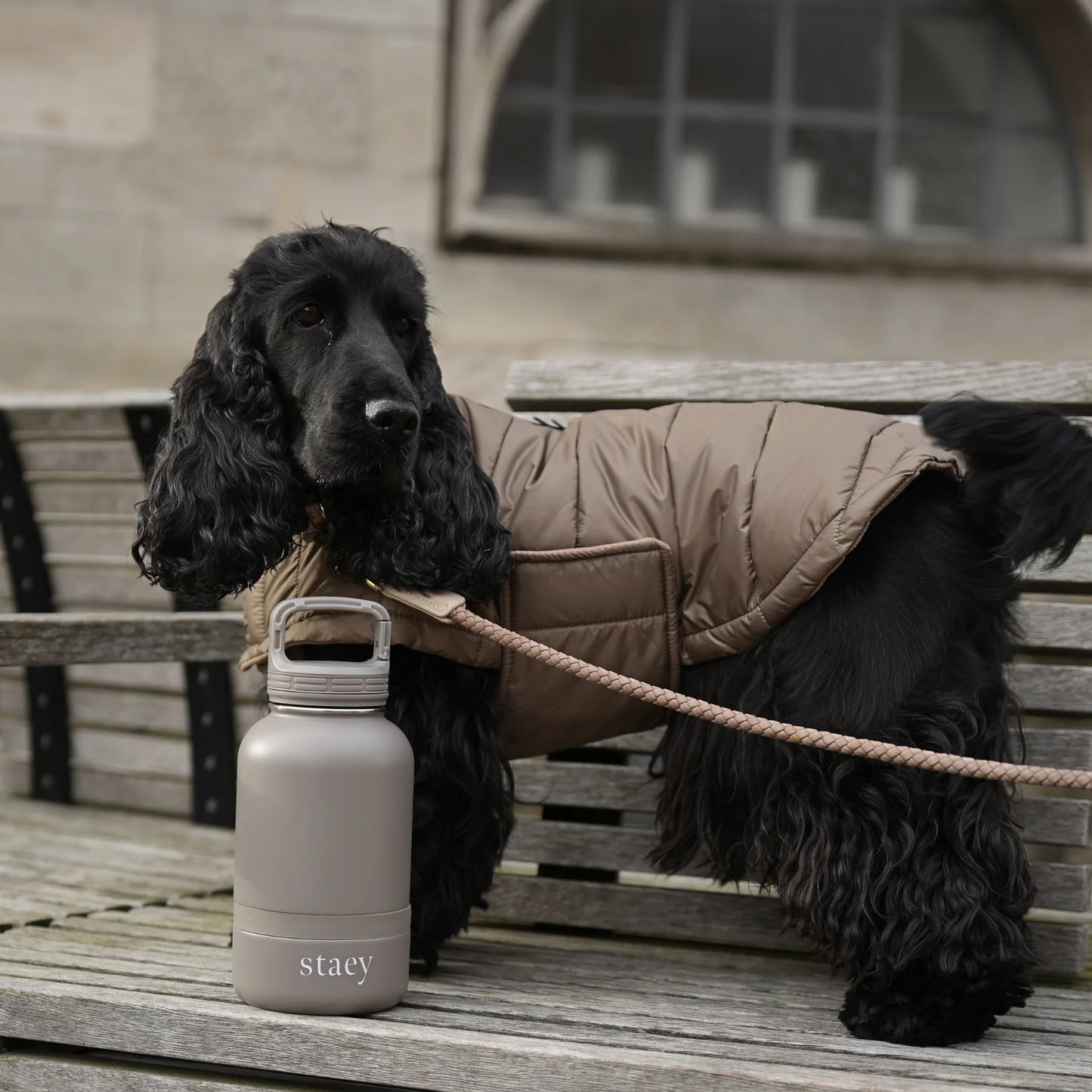 2-in-1 Trinkflasche für Hunde Noona