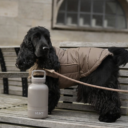2-in-1 Trinkflasche für Hunde Noona