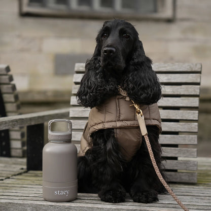 2-in-1 Trinkflasche für Hunde Noona