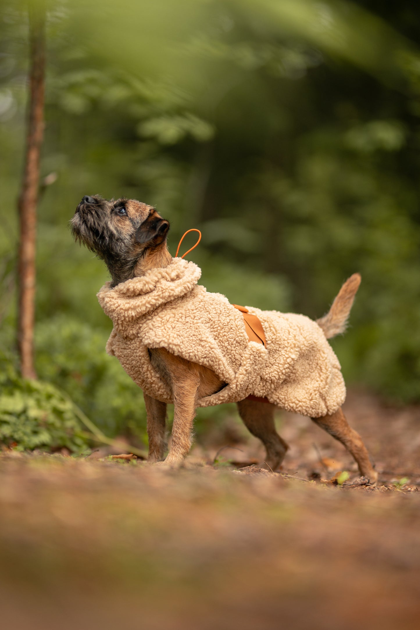 Hundewintermantel Sherpa Taupe
