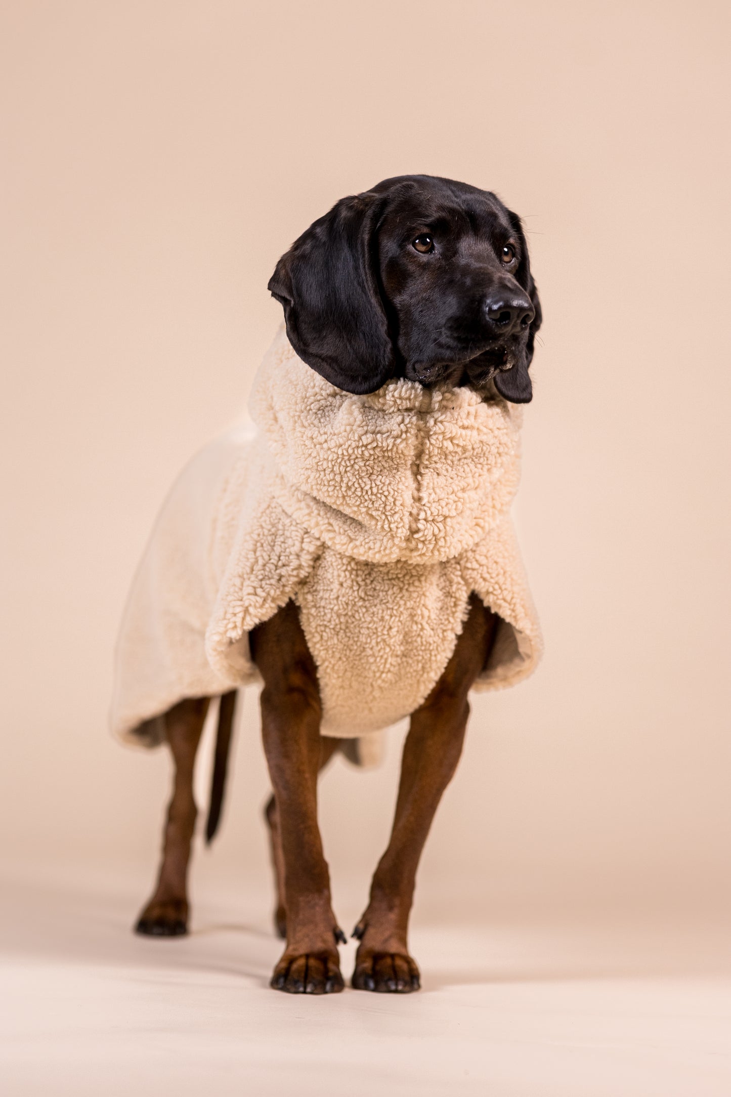 Hundewintermantel Sherpa Taupe