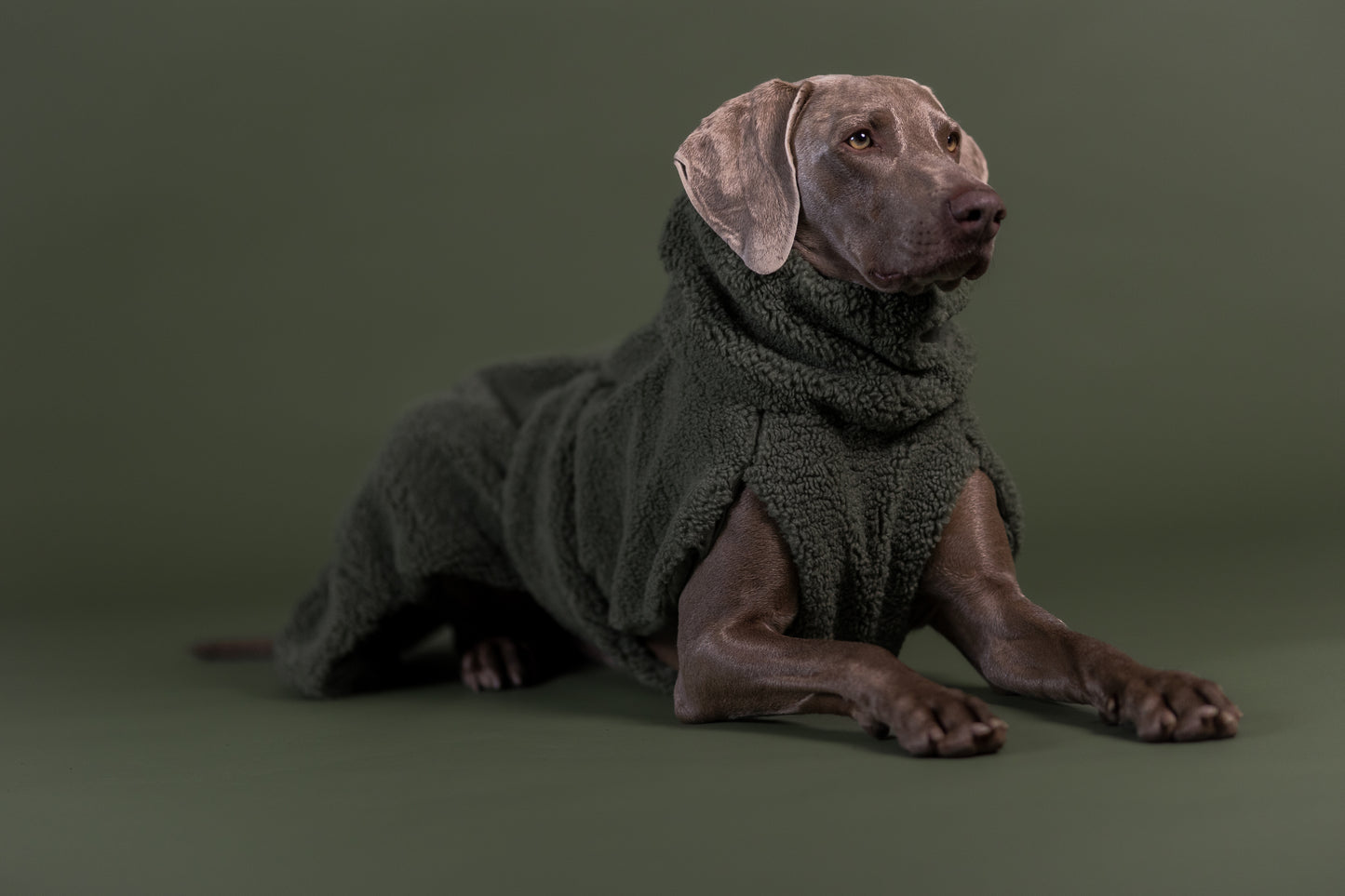 Hundewintermantel Sherpa Olive