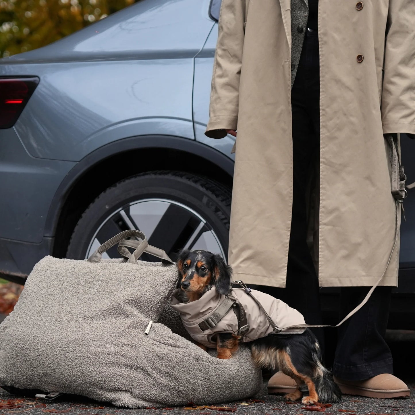 3-in-1 Hundeautositz und Reisebett Lara Teddy 2.0 Taupe