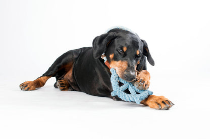 Hundespielzeug Skipper