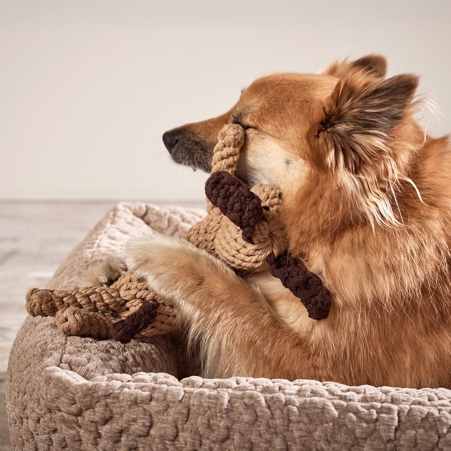 Hundespielzeug Doggy Dog