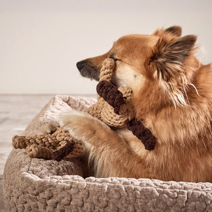 Hundespielzeug Doggy Dog