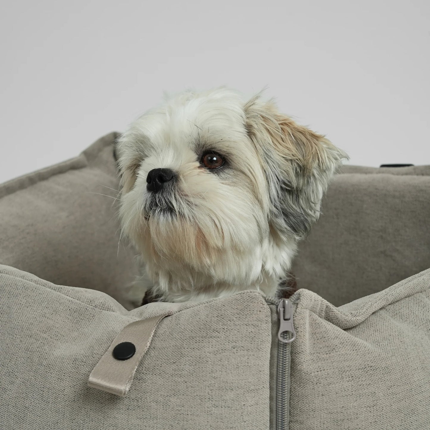 2-in-1 Hundeautositz und Reisebett Fenja Dune